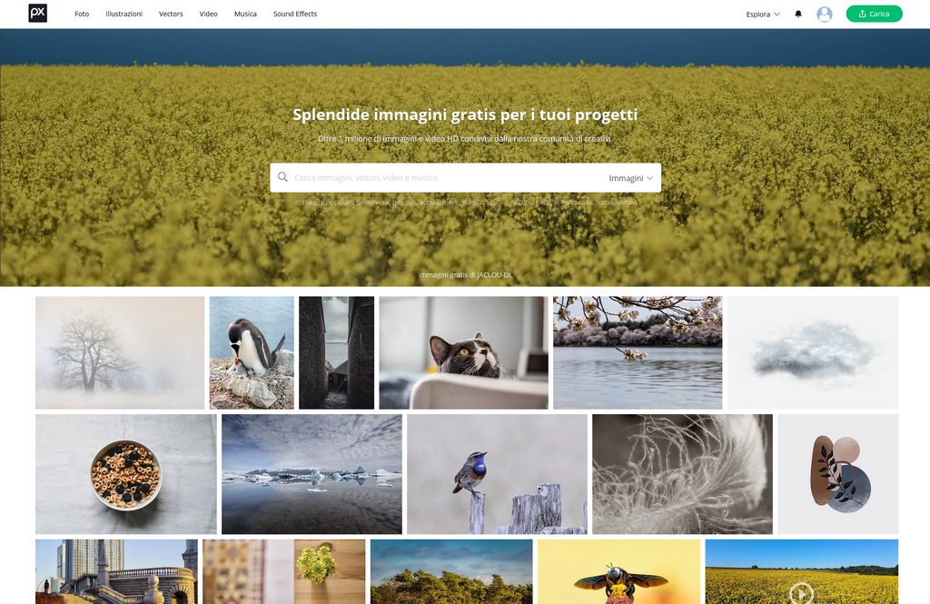 Screenshot 2022 04 03 at 01 06 52 Pixabay Cerca oltre 1 Milione di Belle Immagini Gratis 1